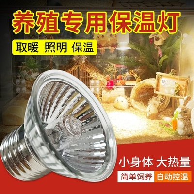 芦丁鸡保温灯小鸡育雏取暖