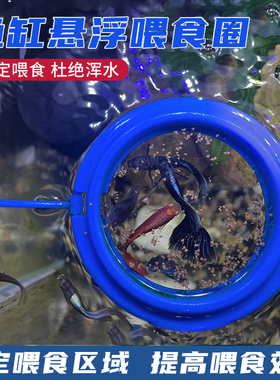 鱼缸喂食器喂鱼神器孔雀鱼漂浮喂食圈丰年虾投食器鱼食投喂器