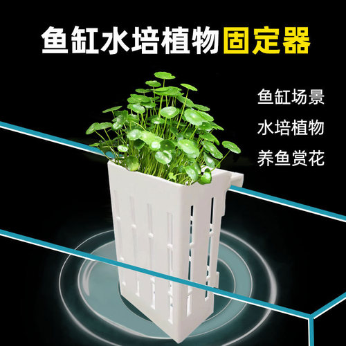 鱼缸水培定植篮壁挂式