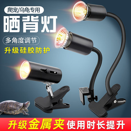 乌龟爬宠晒背灯uva取暖