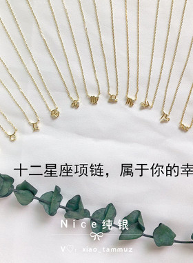 十二星座幸运迷你项链特价