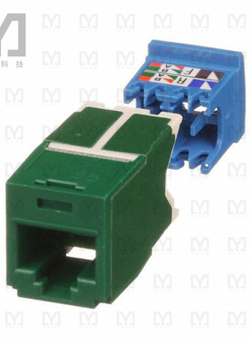 CJ6X88TGGR【CATEGORY 6A  RJ45  10 GB/S  8-PO】