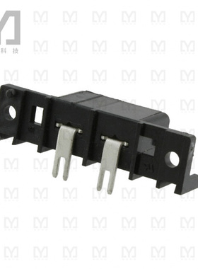 556882-2【CONN RCPT 2POS 11.18MM R/A SLDR】