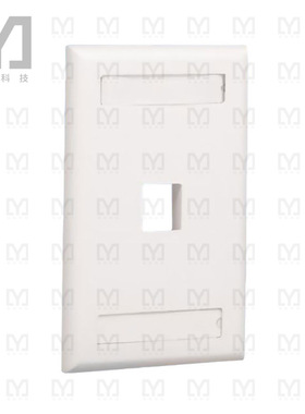 NK1FIGY【FACEPLATE FLUSH MOUNT】