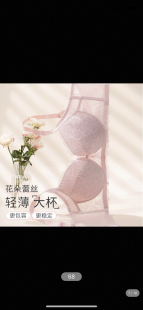 文胸E003222 钢圈简约蘩叶大胸性感文胸调整收副乳薄款 A34 薄款