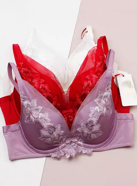 A3新年新款，金致罗袖软支撑红色内衣女小胸聚拢16-8863，8862