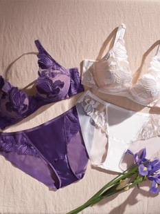 无钢圈聚拢文胸11R1957 上薄下厚 金致鸢尾内衣