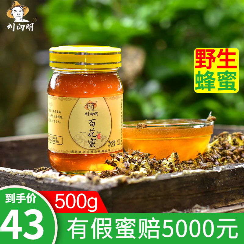 刘向明天然野生土蜂蜜500g瓶装