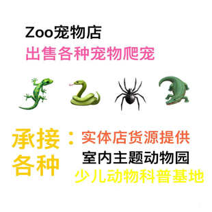 珍奇宠物店室内动物园宠物展览回收科普活物另类宠物大全爬虫爬宠