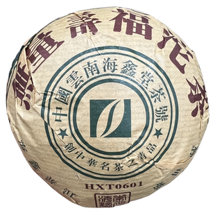 2008年海鑫堂无量山大沱茶