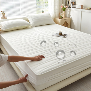 若水 沃尔享2025新款 200cm单床笠 A类水洗棉磨毛夹棉防水床笠