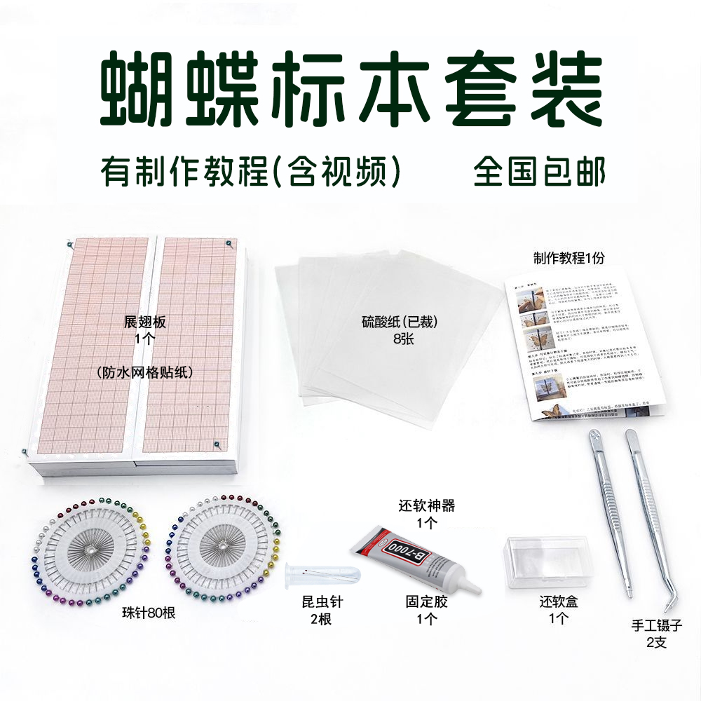 蝴蝶标本手工diy制作材料昆虫针展翅板昆虫标本盒子工具套装全套