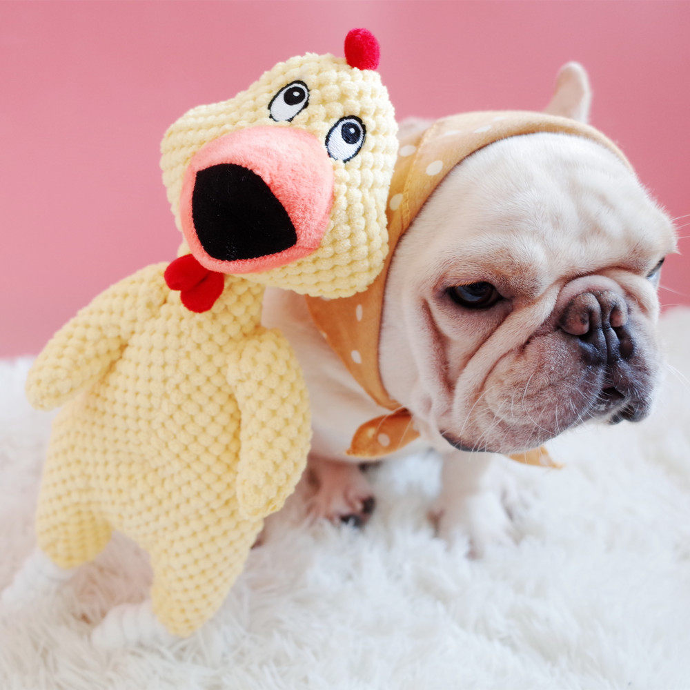 宠物玩具 惨叫鸡 狗狗毛绒发声玩具 耐咬磨牙毛绒怪叫鸡 法斗