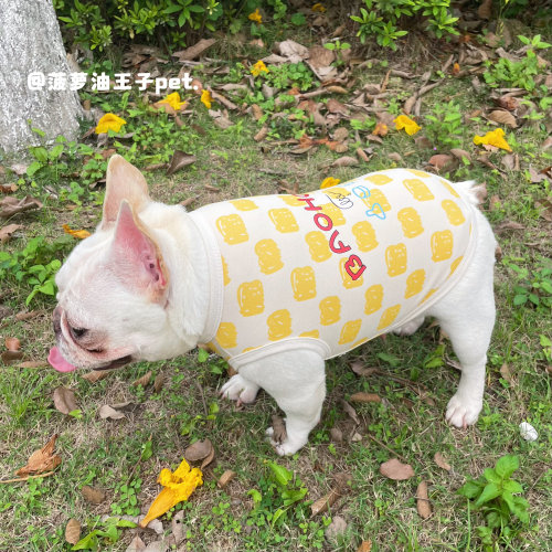 韩国新款宠物春夏薄款透气棉质弹力背心 法斗雪纳瑞衣服胖狗衣服