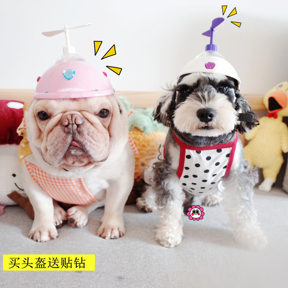 宠物头盔 配眼镜狗狗 竹蜻蜓头盔 雪纳瑞法斗安全帽 机车头盔金毛