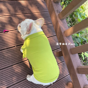 新款宠物衣服 秋冬棉质高弹纯色搭配打底衫 胖狗法斗T恤柯基衣服
