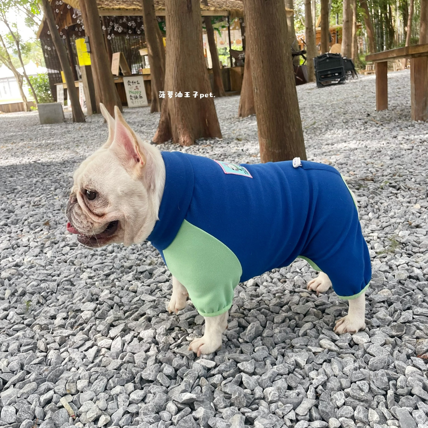 新款宠物衣服狗狗秋冬装保暖德绒拼色连体四脚裤法斗短体胖狗衣服,宠物/宠物食品及用品,狗宠物服装/雨衣,淘宝优惠券,粉丝福利购,淘宝优惠卷