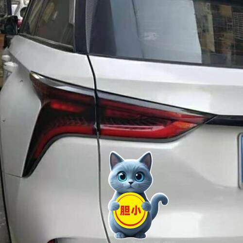 实习贴标志女司机新手上路车贴卡通实习标志汽车*车标创意警示