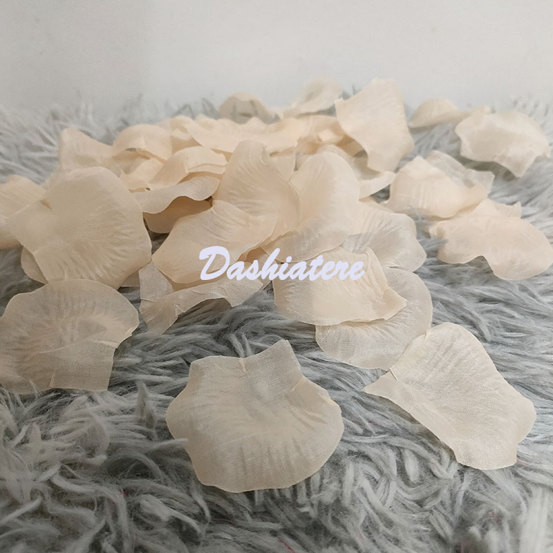 香槟色花瓣Dashiatere装饰