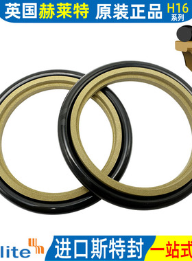 赫莱特H16进口斯特封轴用组合145 150 155*160.1 165.5 170.5*6.3
