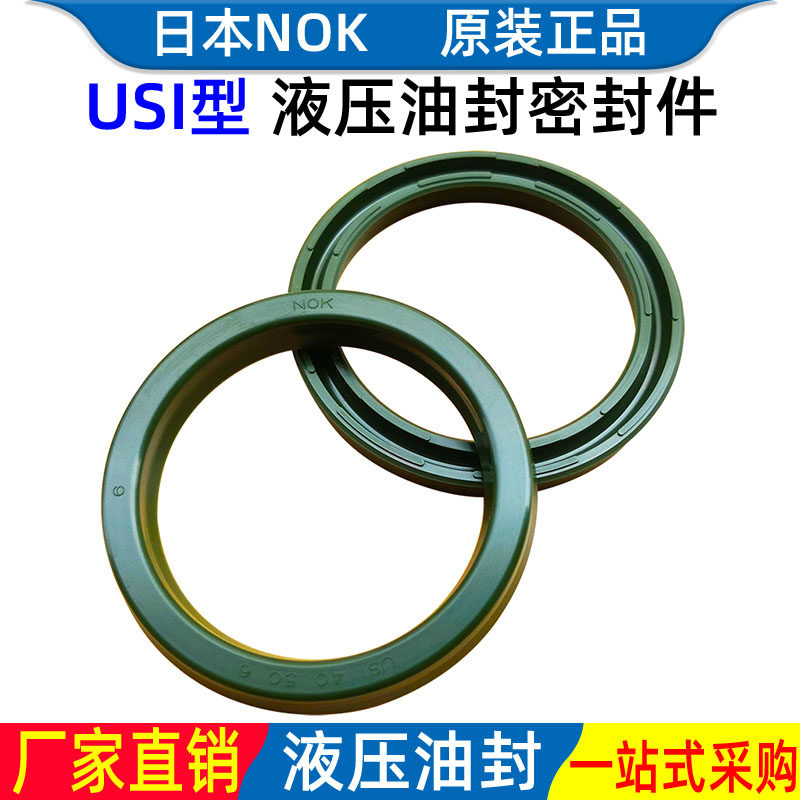 NOKUSI型进口油封密封圈液压油缸