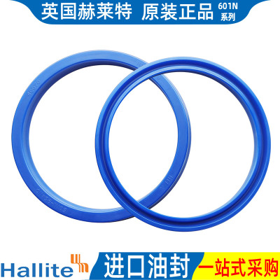 hallite进口601N油封41838 46053 43629 46016 46017 40*50 55 60