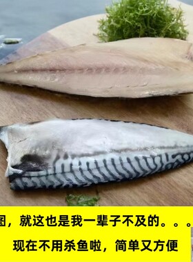 挪威进口青花鱼鲭鱼青花鱼片