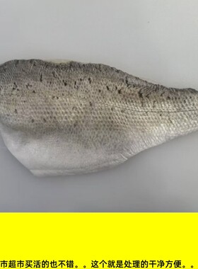 海鲈鱼鱼排无刺鱼柳 七星鲈鱼花鲈芦鱼卢鱼鱼块鱼段  轻食健身