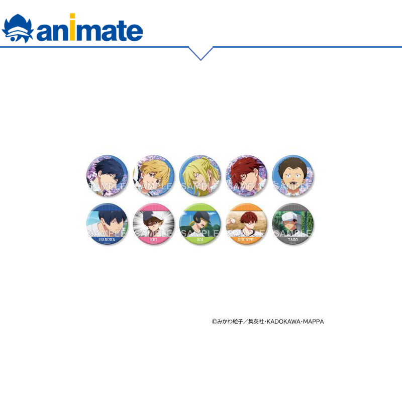 【现货】失忆投捕 动画版 徽章盒蛋+ ver.C animate正版授权周边,模玩/动漫/周边/娃圈三坑/桌游,动漫徽章/立牌,淘宝优惠券,粉丝福利购,淘宝优惠卷