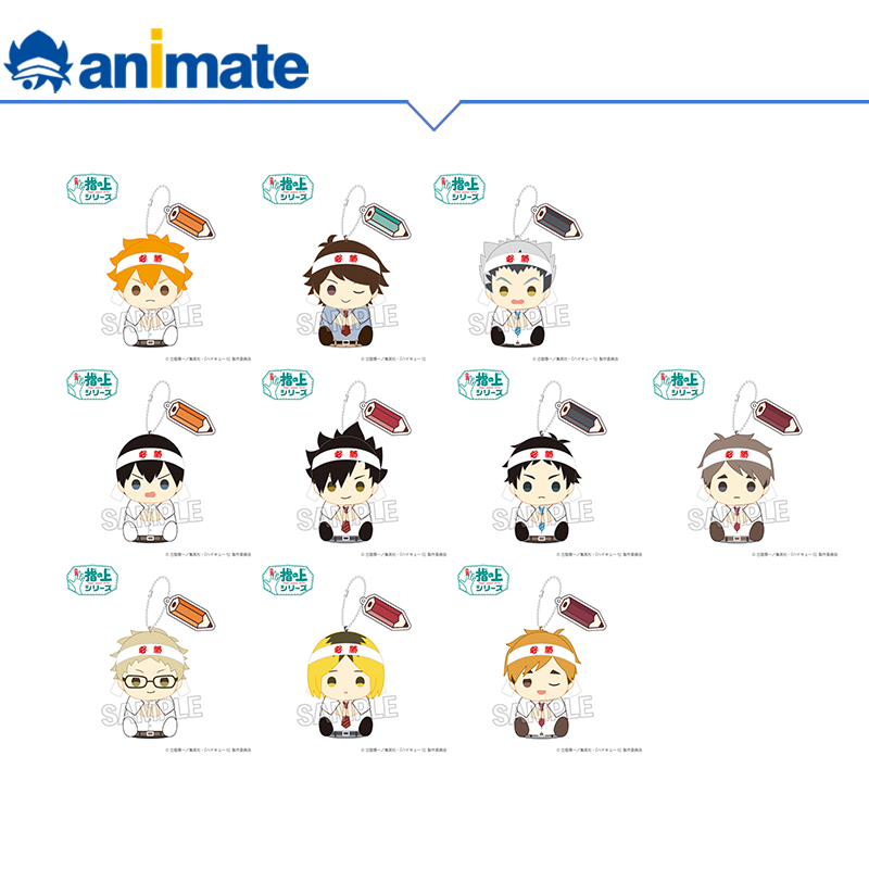 【现货】排球少年 指偶系列 考前学习ver. animate正版官方周边