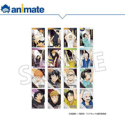 【预约】排球少年 卡片盒蛋 国青合宿 animate正版授权