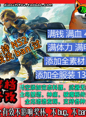 NS Switch2 塞尔达传说 王国之泪 存档修改全材料全服装大师剑