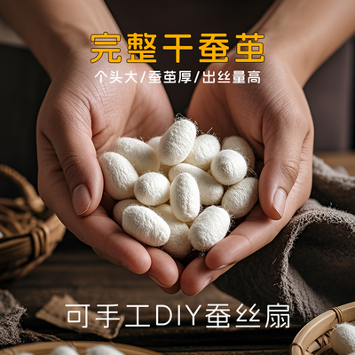 彩色桑蚕茧可抽丝蚕丝扇