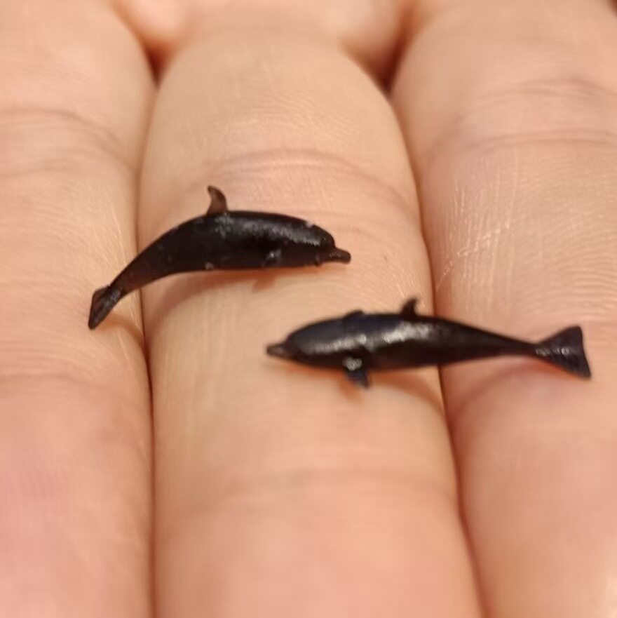 海洋座头鲸蓝鲨鱼鳄海豚锤头抹香微型迷你微型滴胶填充材料树脂