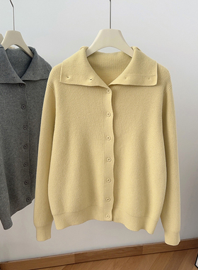 IMCC小众高级感单排扣立领毛衣针织开衫女秋冬宽松翻领外套上衣