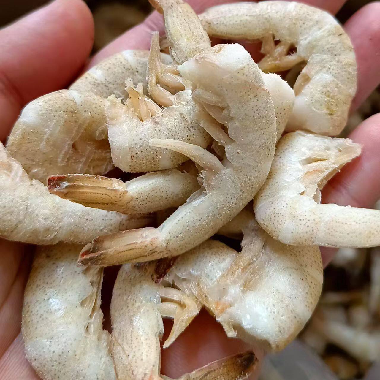 纯野生羊毛虾小白虾新鲜冷冻对虾冻虾