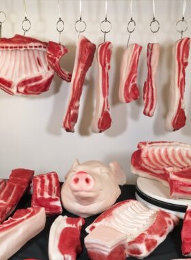美之灵仿真生肉模型猪肉羊肉分割