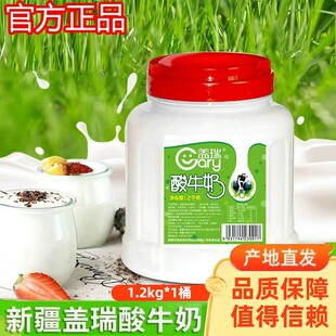 新疆盖瑞酸奶大桶装1.2kg水果捞网红原味浓缩风味老酸奶