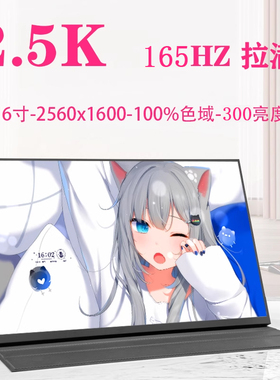 16寸2.5K 165HZ仅支持DP信号便携显示器 便携屏笔记本副屏扩展屏