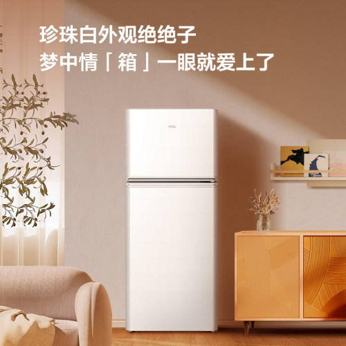 TCLR116L5-B双门出租房公寓