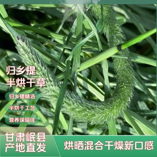 兔提摩西草岷縣歸鄉提特優提草寵物荷蘭豬龍貓兔子專用提摩西干草