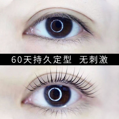 野生眉角蛋白翘睫术烫睫毛套装