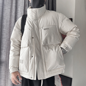 Y100-P198-控268 聚酯纤维贴标 正方大格衣身 50绒立领羽绒服图片