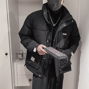 Y100-P198-控268 聚酯纤维贴标 正方大格衣身 50绒立领羽绒服图片