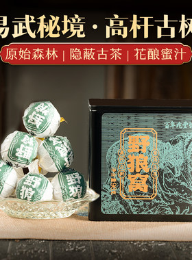 【野韵霸甜】2020年春茶《野狼窝》易武秘境古树普洱生茶龙珠96g