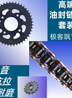 适用轻骑铃木GIXXER极客飒155GSX150F/N链盘链轮牙盘套链油封链条