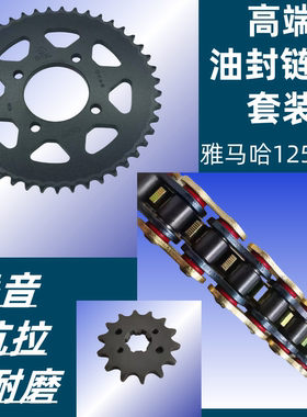 适用雅马哈天剑YBR125天琪天戟JYM125套链链轮牙盘链盘油封链条
