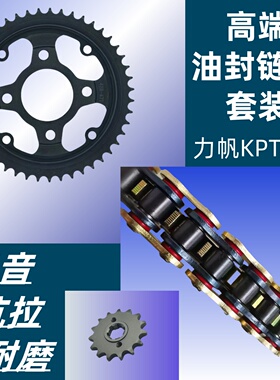 适用力帆KPT200/150 KPS200/150LF200-10R/L链盘牙盘套链油封链条