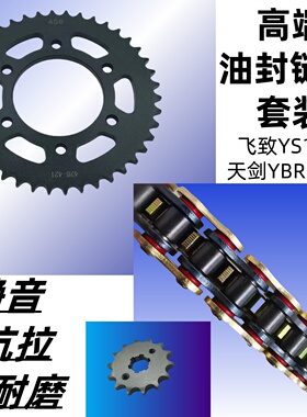 适用雅马哈飞致YS150天剑YBR150 JYM150牙盘链轮链盘套链油封链条