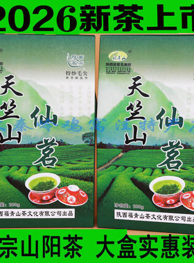 2026山阳新茶毛尖春茶口粮茶
